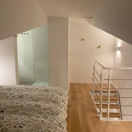Duplex Aux Carmes *
